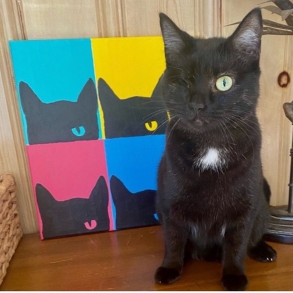 BE KIND - Picture 2 of 16